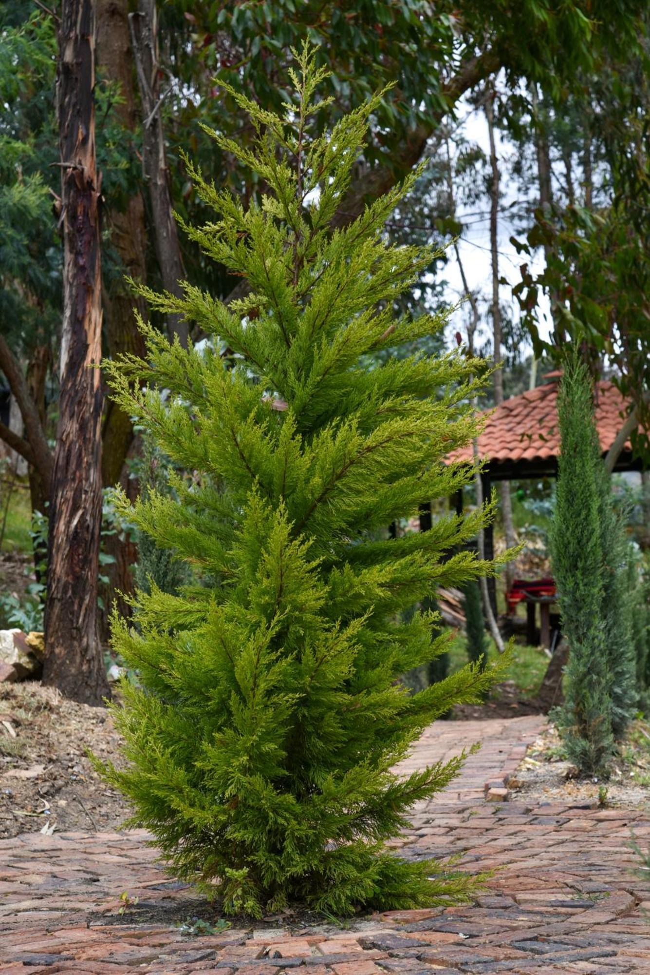 Golden Glamping Hotel Guatavita Exterior photo